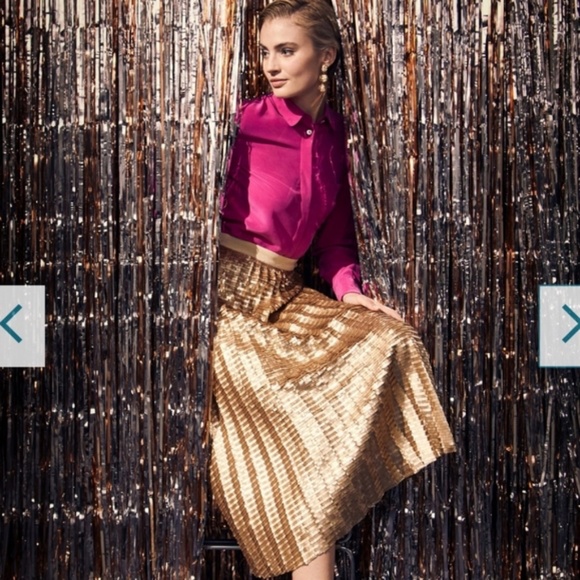 Anthropologie Natalia Sequined Midi Skirt - Picture 8 of 9